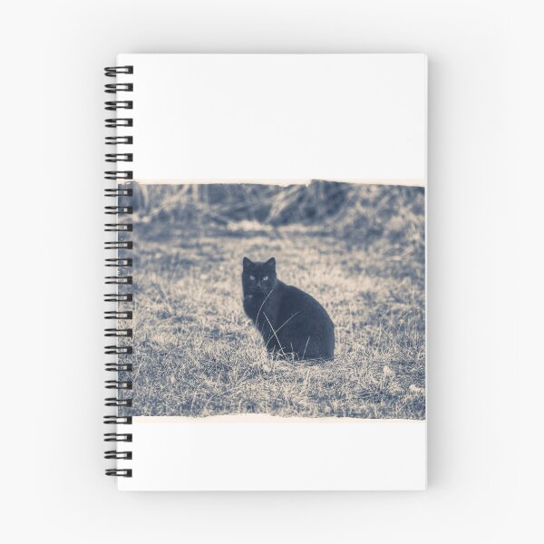 Item preview, A must-have for cat lovers! A unique, classic vintage black cat design. designed and sold by KANAH FORYED.