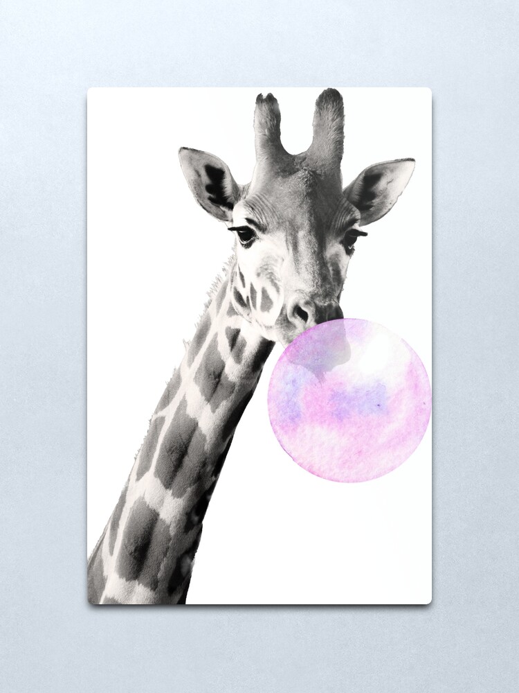 Alternate view of Giraffe, bubblegum, bubble, black and white, photo, giraffe bubblegum Metal Print
