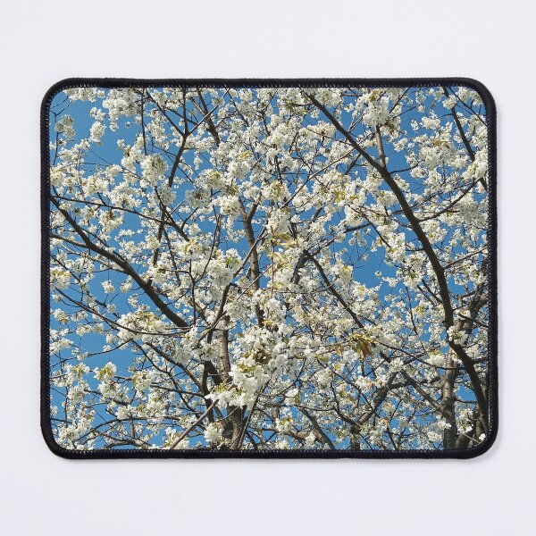 Item preview, White Cherry Blossom Tree Clear Blue Sky designed and sold by Nature Moments.