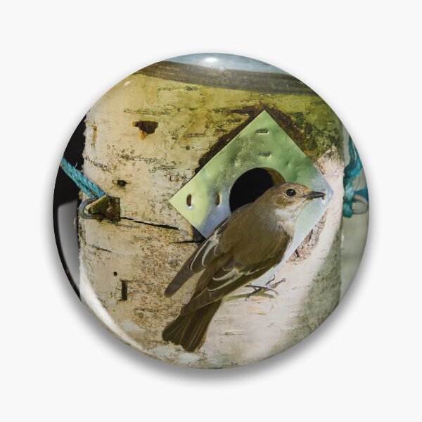 Item preview, My home. European pied flycatcher designed and sold by Jouko Lehto Photography.
