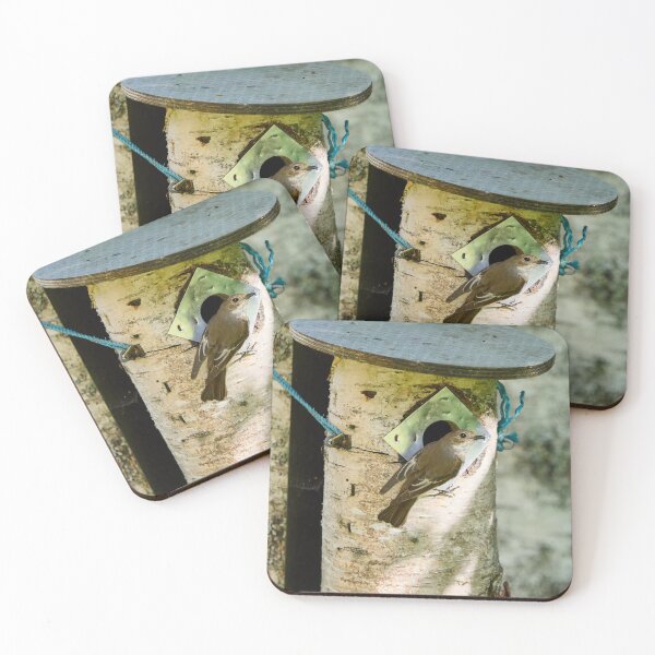 Item preview, My home. European pied flycatcher designed and sold by Jouko Lehto Photography.