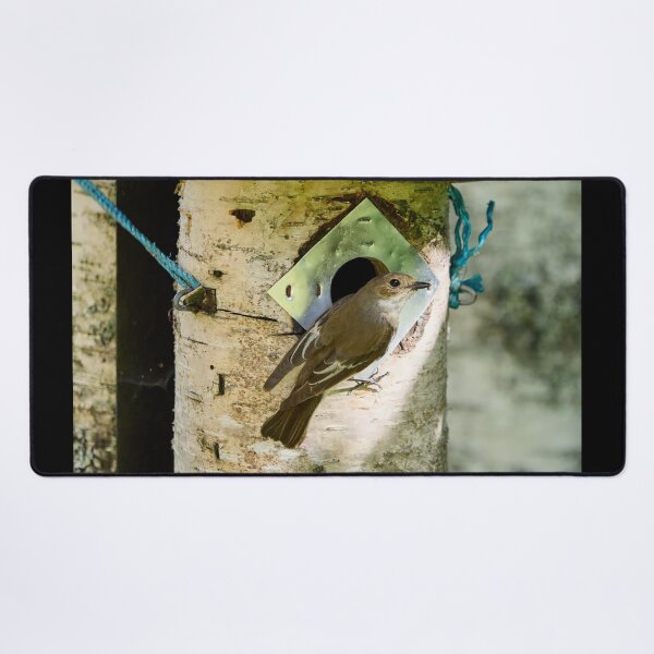 Item preview, My home. European pied flycatcher designed and sold by Jouko Lehto Photography.