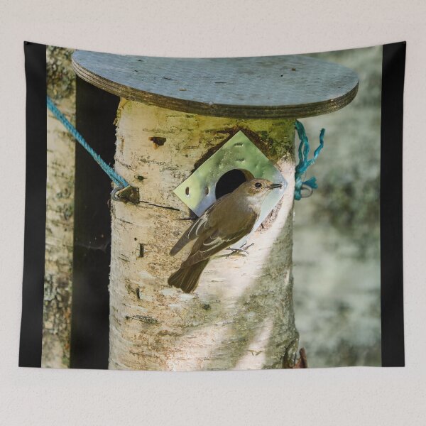 Item preview, My home. European pied flycatcher designed and sold by Jouko Lehto Photography.