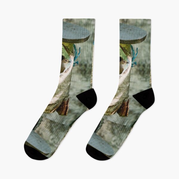 Item preview, My home. European pied flycatcher designed and sold by Jouko Lehto Photography.