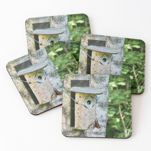 Item preview, Mamaaaaa. European pied flycatcher designed and sold by Jouko Lehto Photography.