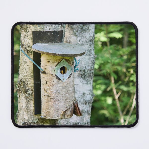 Item preview, Mamaaaaa. European pied flycatcher designed and sold by Jouko Lehto Photography.