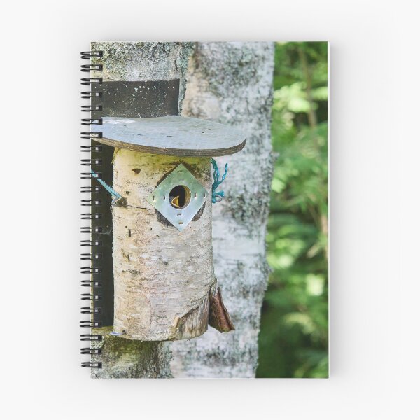 Item preview, Mamaaaaa. European pied flycatcher designed and sold by Jouko Lehto Photography.