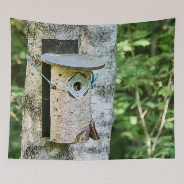Item preview, Mamaaaaa. European pied flycatcher designed and sold by Jouko Lehto Photography.