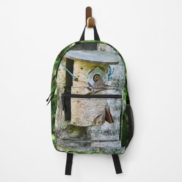 Item preview, Feed me. European pied flycatcher designed and sold by Jouko Lehto Photography.