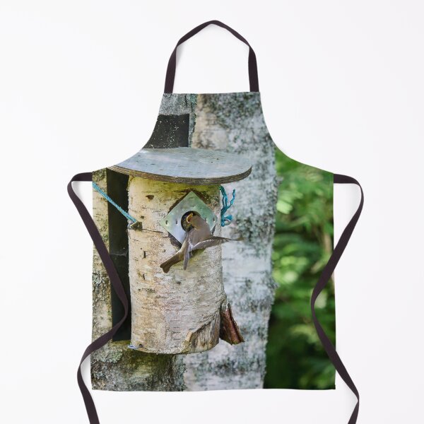 Item preview, Feed me. European pied flycatcher designed and sold by Jouko Lehto Photography.
