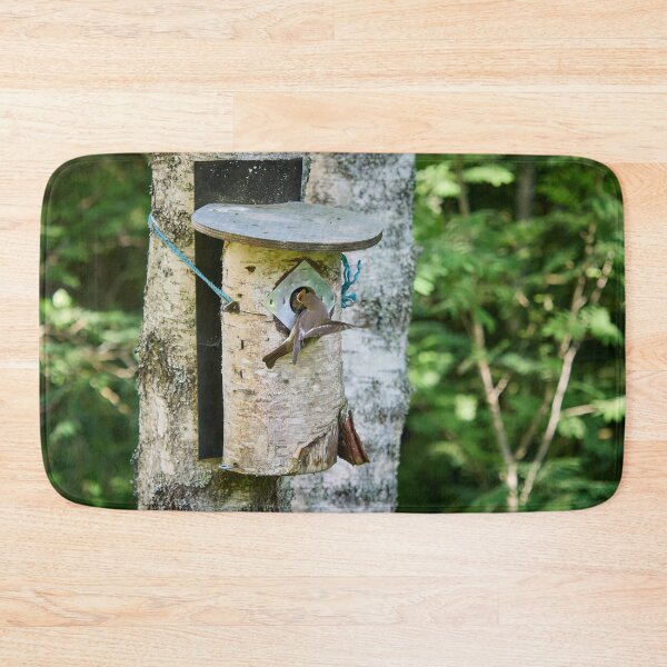 Item preview, Feed me. European pied flycatcher designed and sold by Jouko Lehto Photography.