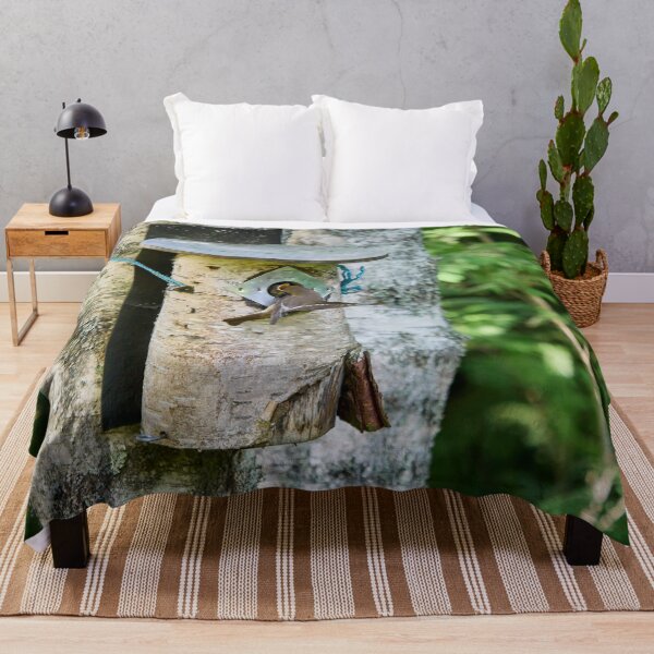 Item preview, Feed me. European pied flycatcher designed and sold by Jouko Lehto Photography.