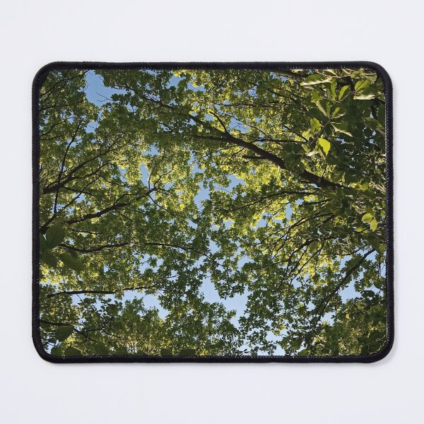 Item preview, Bare Tree Branches Blue Sky Clouds designed and sold by Nature Moments.