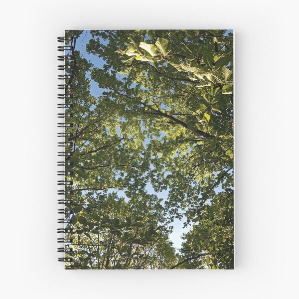 Item preview, Bare Tree Branches Blue Sky Clouds designed and sold by Nature Moments.