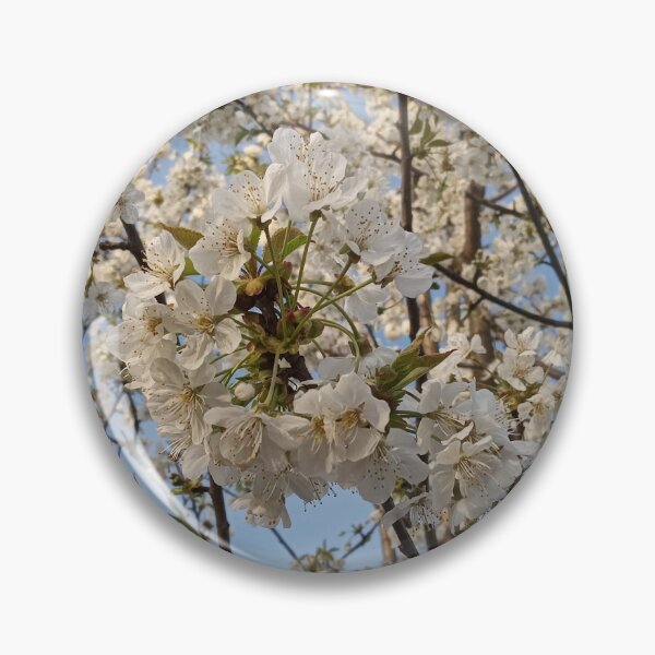 Item preview, White Cherry Blossom Branch Blue Sky designed and sold by Nature Moments.