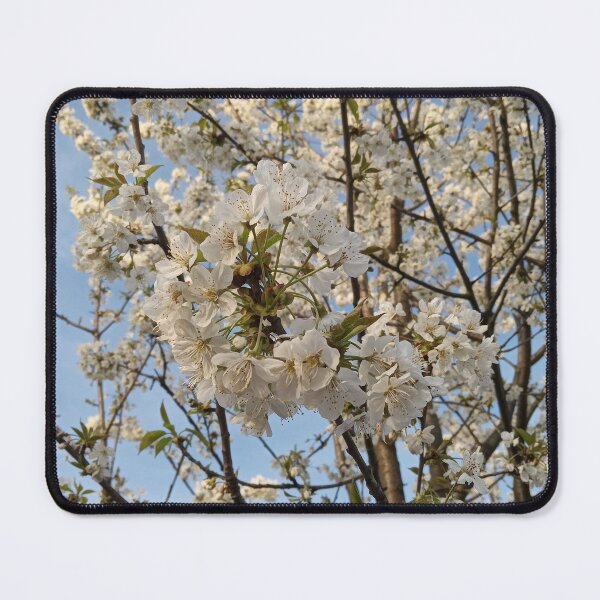 Item preview, White Cherry Blossom Branch Blue Sky designed and sold by Nature Moments.