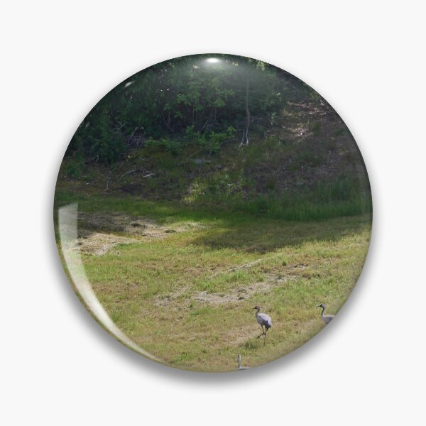 Item preview, Field. Eurasian crane designed and sold by Jouko Lehto Photography.