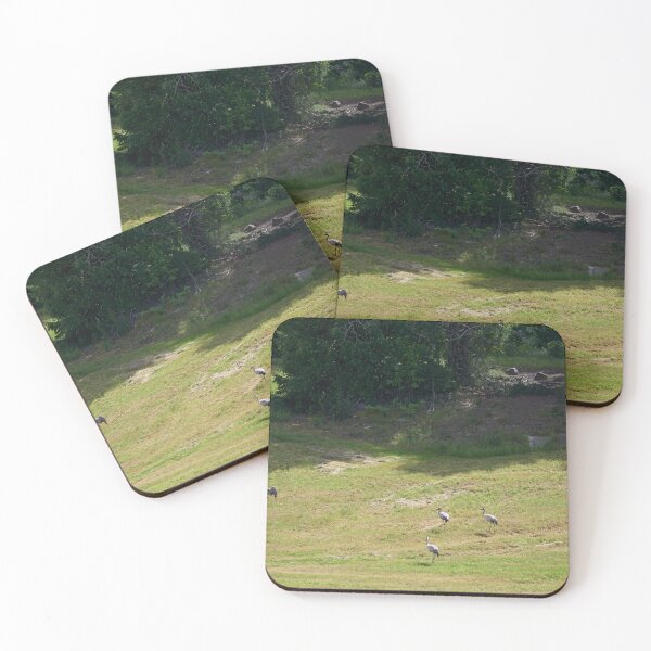 Item preview, Field. Eurasian crane designed and sold by Jouko Lehto Photography.