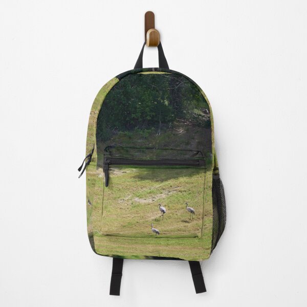 Item preview, Field. Eurasian crane designed and sold by Jouko Lehto Photography.