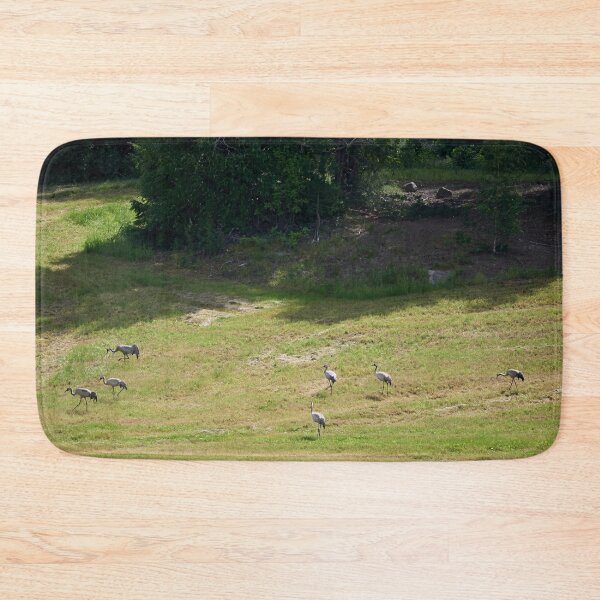 Item preview, Field. Eurasian crane designed and sold by Jouko Lehto Photography.