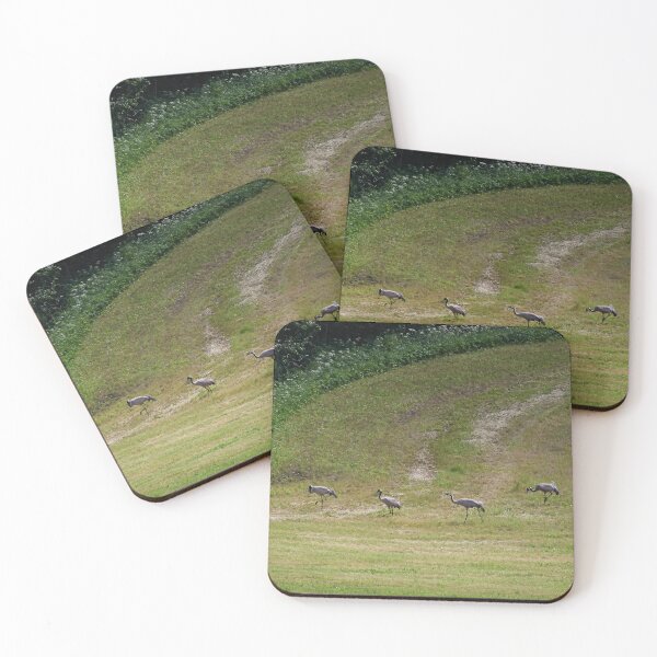 Item preview, The line. Eurasian crane designed and sold by Jouko Lehto Photography.