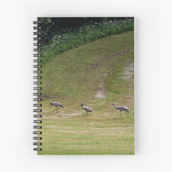 Item preview, The line. Eurasian crane designed and sold by Jouko Lehto Photography.
