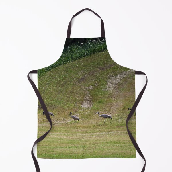 Item preview, The line. Eurasian crane designed and sold by Jouko Lehto Photography.