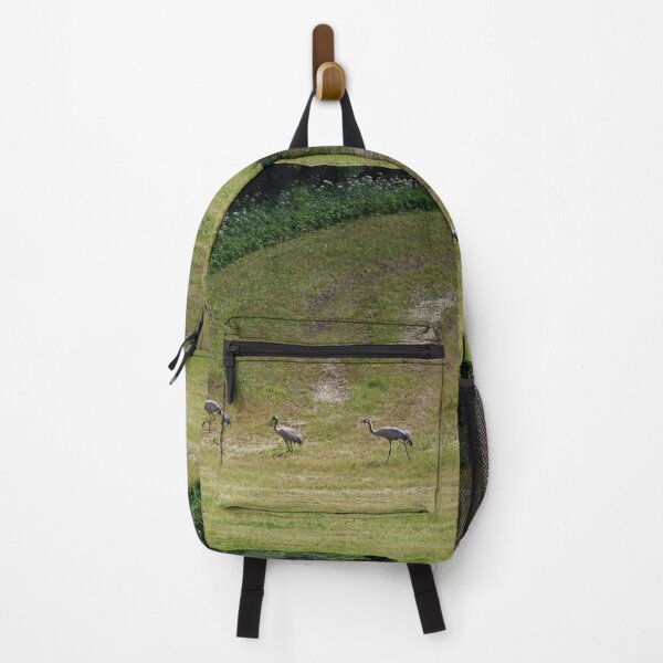 Item preview, The line. Eurasian crane designed and sold by Jouko Lehto Photography.