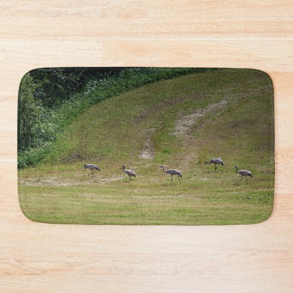 Item preview, The line. Eurasian crane designed and sold by Jouko Lehto Photography.