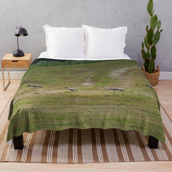 Item preview, The line. Eurasian crane designed and sold by Jouko Lehto Photography.