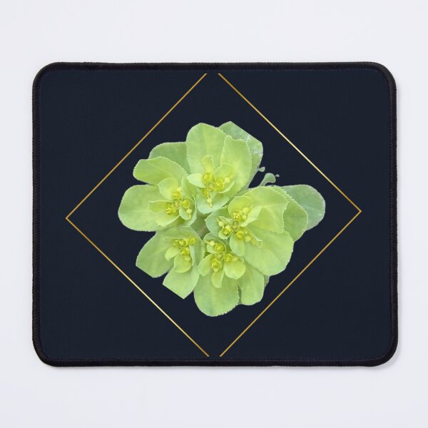Item preview, Geometric Gold Diamond Framed Euphorbia Spurge designed and sold by BalkanBloom.