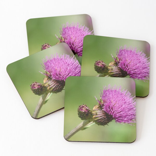 Item preview, Paint it pink. Melancholy Thistle designed and sold by Jouko Lehto Photography.