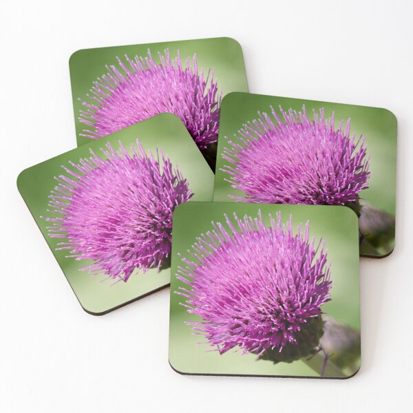 Item preview, Oh that color. Melancholy Thistle designed and sold by Jouko Lehto Photography.