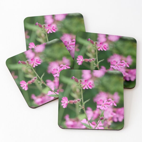 Item preview, Pinks and greens. Red Campion designed and sold by Jouko Lehto Photography.