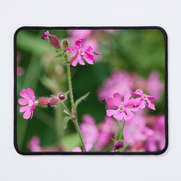 Item preview, Pinks and greens. Red Campion designed and sold by Jouko Lehto Photography.