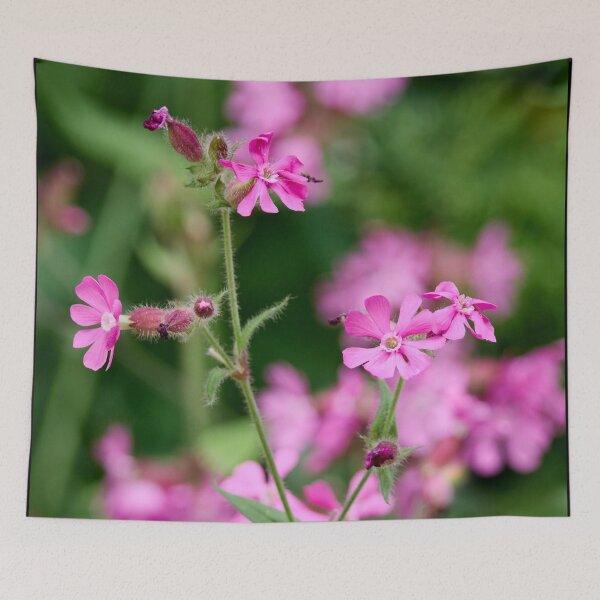 Item preview, Pinks and greens. Red Campion designed and sold by Jouko Lehto Photography.