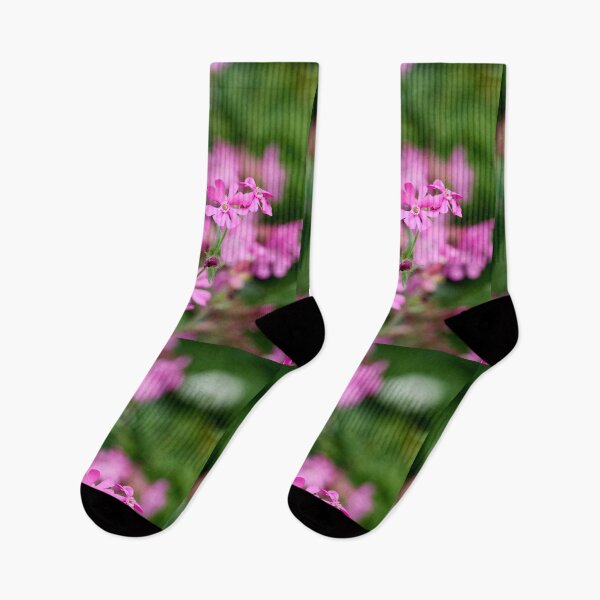 Item preview, Pinks and greens. Red Campion designed and sold by Jouko Lehto Photography.