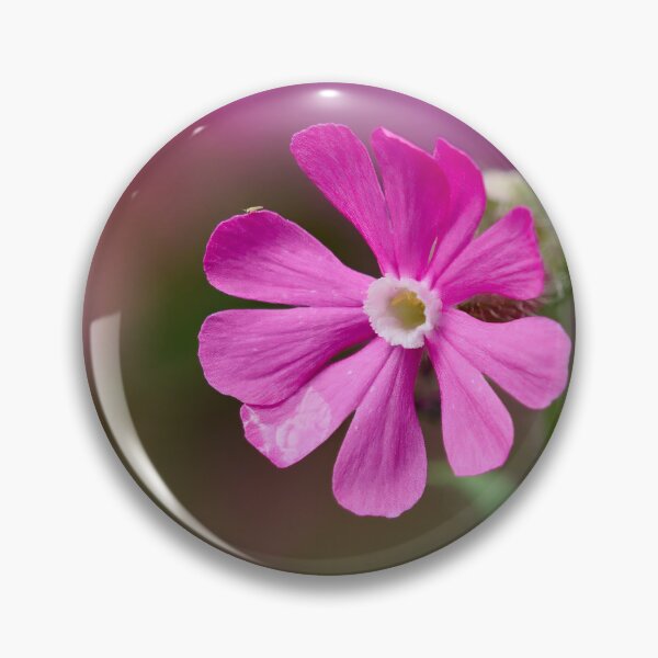 Item preview, The flower. Red Campion designed and sold by Jouko Lehto Photography.