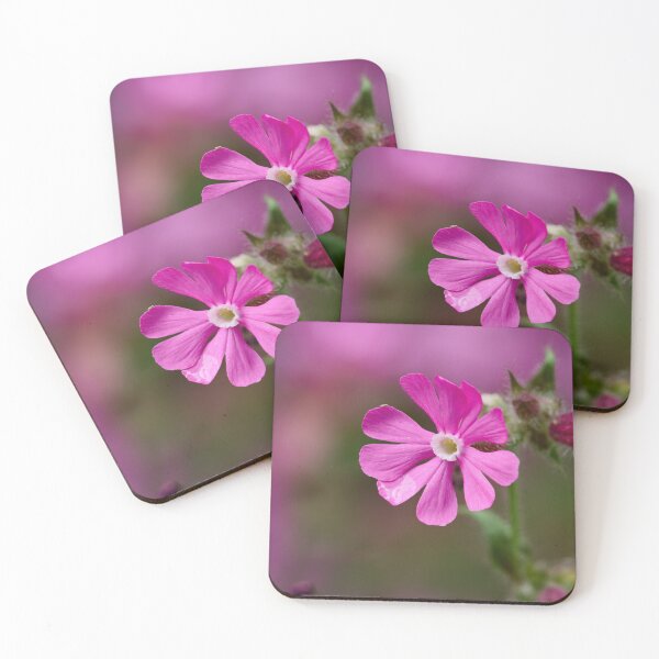 Item preview, The flower. Red Campion designed and sold by Jouko Lehto Photography.