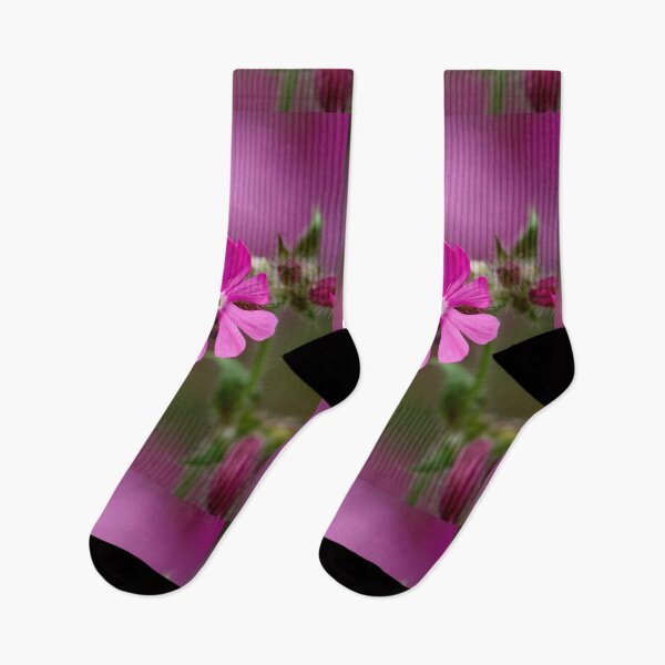 Item preview, The flower. Red Campion designed and sold by Jouko Lehto Photography.