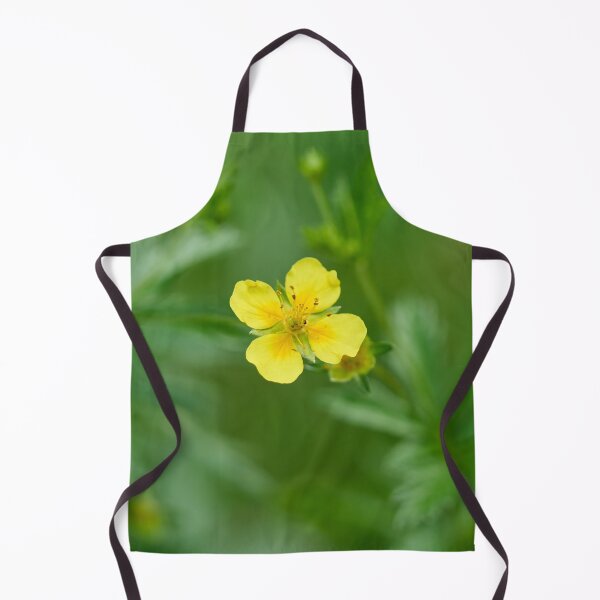 Item preview, Single flower. Tormentil designed and sold by Jouko Lehto Photography.