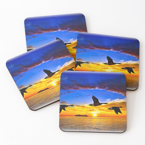Item preview, The Geese Patrol and Carival  to Florida and the Bahamas, designed and sold by DBM Photo Art 1.