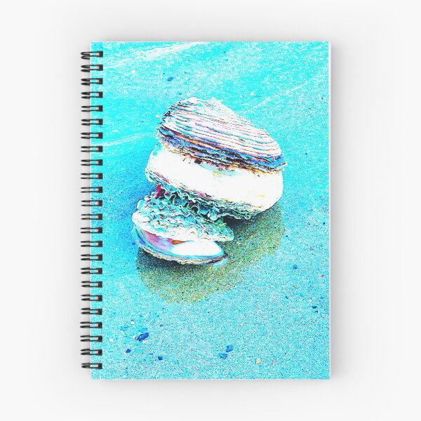 Item preview, Turquoise shells designed and sold by ART22.