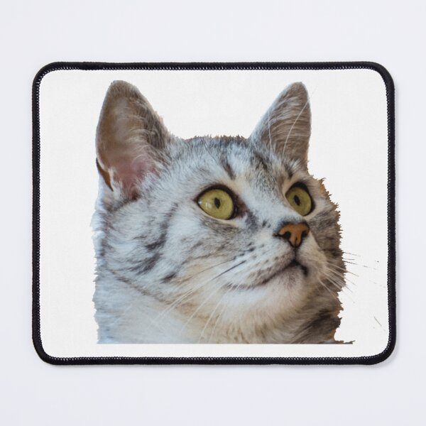 Item preview, Cute Surprised Grey Tabby Cat designed and sold by KANAH FORYED.