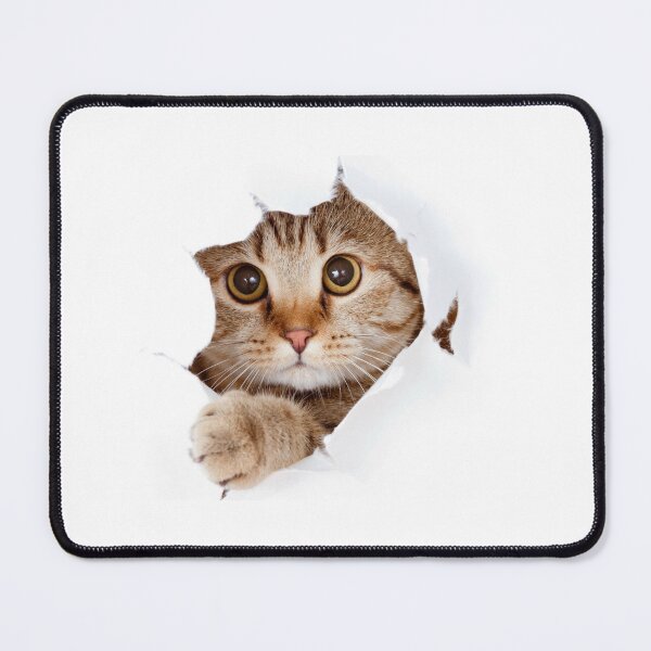 Item preview, Cute Tabby Cat Peeking Through Torn Paper designed and sold by KANAH FORYED.