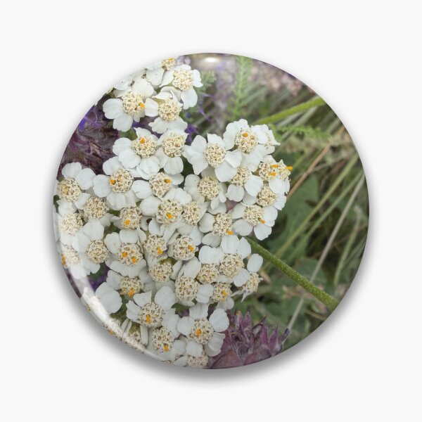Item preview, Yarrow designed and sold by Betsy Phillips.