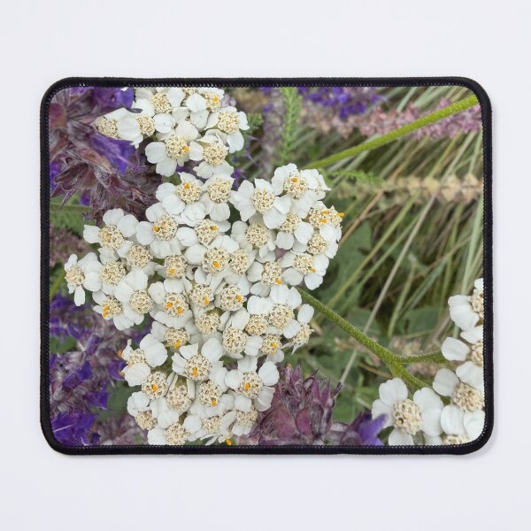 Item preview, Yarrow designed and sold by Betsy Phillips.