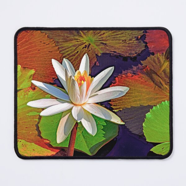 Item preview, Water Lilies are Beautiful designed and sold by DBM Photo Art 1.