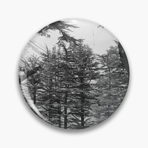 Item preview, Great Cedars of Lebanon, 1857 Bsharri Mount Lebanon landscape fine art black and white photograph by Francis Frith   designed and sold by Astrid Arkhangelsky.