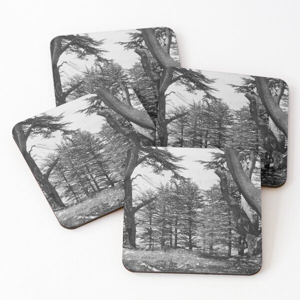 Item preview, Great Cedars of Lebanon, 1857 Bsharri Mount Lebanon landscape fine art black and white photograph by Francis Frith   designed and sold by Astrid Arkhangelsky.